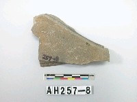 藏品(石塊)的圖片